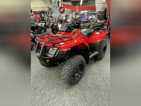 2002 HONDA RECON 250 ES
