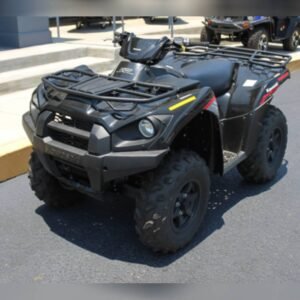 Brute Force® 750 4x4i EPS