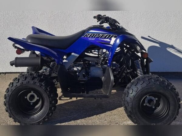 Raptor 90 Blue