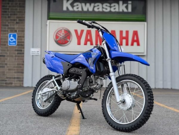 2025 YAMAHA TT R110E