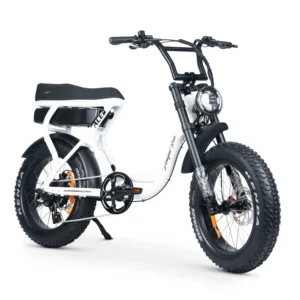 ACE-S Plus+ Electric Bike